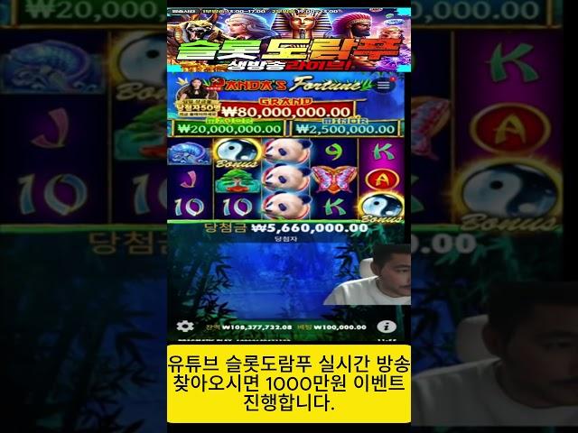 [슬롯]판다도리도리~!!! [프라그마틱][슬롯도람푸][슬롯머신][슬롯라이브][강원랜드][슬롯생방송][실시간슬롯][경마][경륜]#shorts #slot