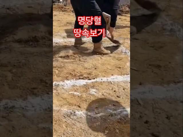 찐! 명당 땅속 확인하기 혈처 풍수 #풍수지리 #풍수인테리어 #부자