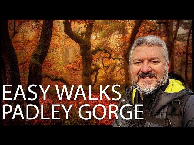 Easy Walks - Padley Gorge Jewel of the Peak District