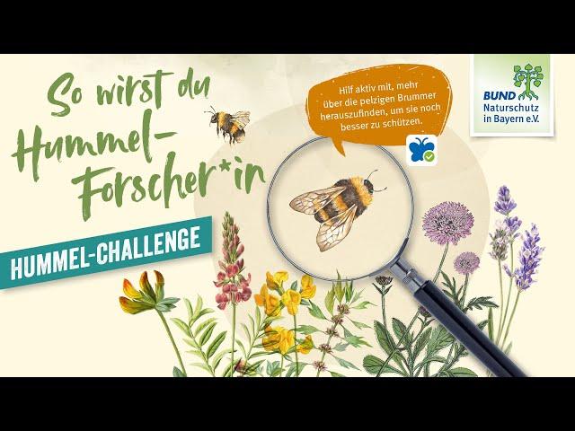 Hummel-Challenge: Mach mit! - So funktioniert die Challenge 