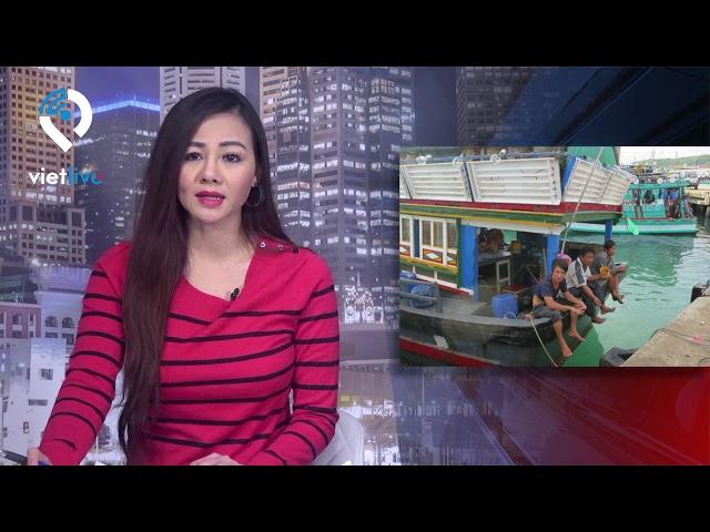 VIETLIVE TV ngày 28 12 2018