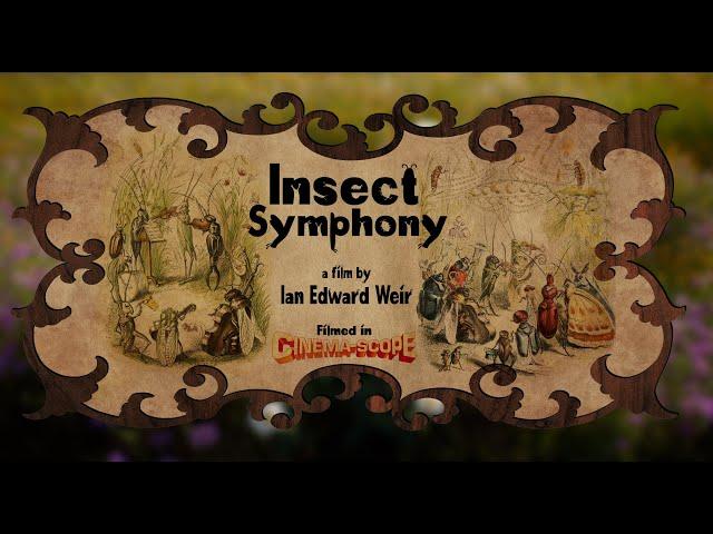 Insect Symphony - A film by Ian Edward Weir