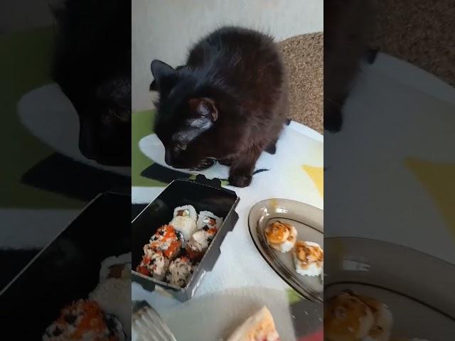 мой друг