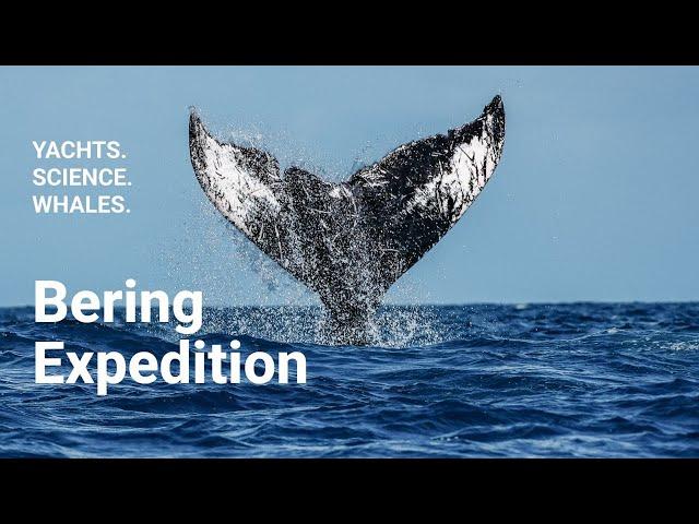 Bering Yachts for Science: Watching Whales and Finding Purpose