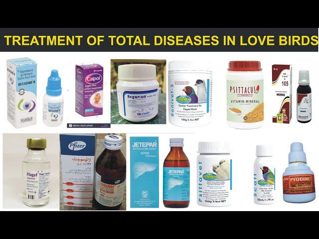 Treatment of total Diseases in Love Birds.