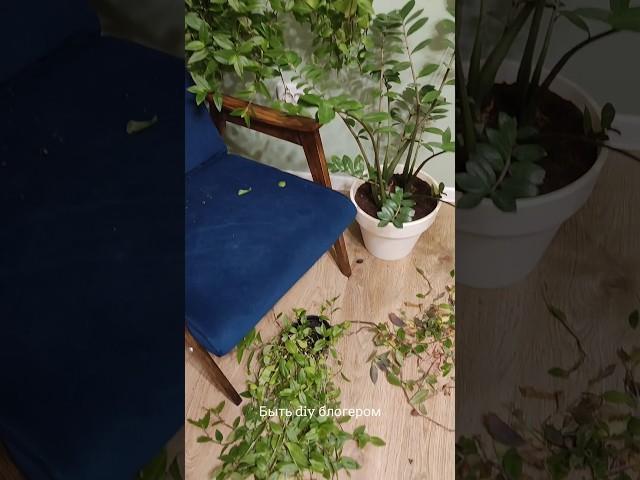 Это ожидание/реальность #diy #ремонтсвоимируками #переделкамебели