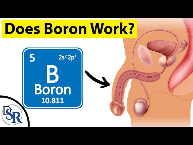 Does Boron Work For Increasing Testosterone or Erections