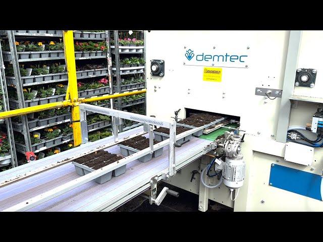 Transplanting Line for Packs and Marketing Trays - Rotomation - Urbinati - Demtec