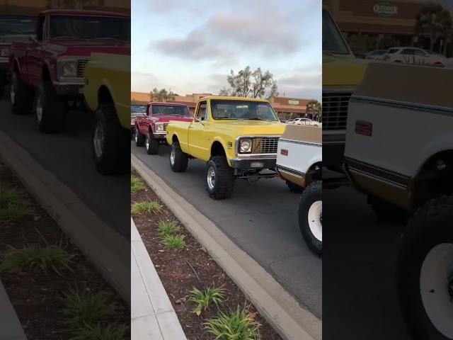 What a lineup! 67-72 Chevy trucks! #chevy #cali #shorts #trending