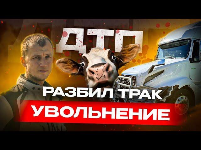 Остался без работы в США / Видео момента ДТП / Дальнобой по США / Работа в Америке