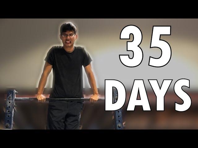 This Average Guy Learns the Muscle-Up in 35 days