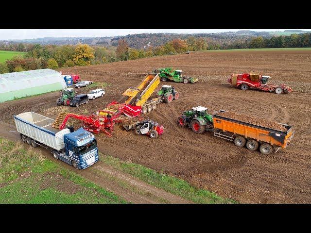 Big Potato Harvest in Belgium | Fendt 1050 & 1042 - AVR Puma - Grimme Varitron - Cleanloader