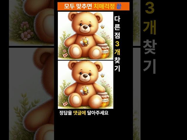 시니어 정보마당-틀린그림찾기(다른그림찾기) - 곰돌이