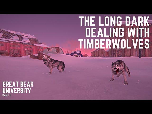 How to deal with Timberwolves - The Long Dark