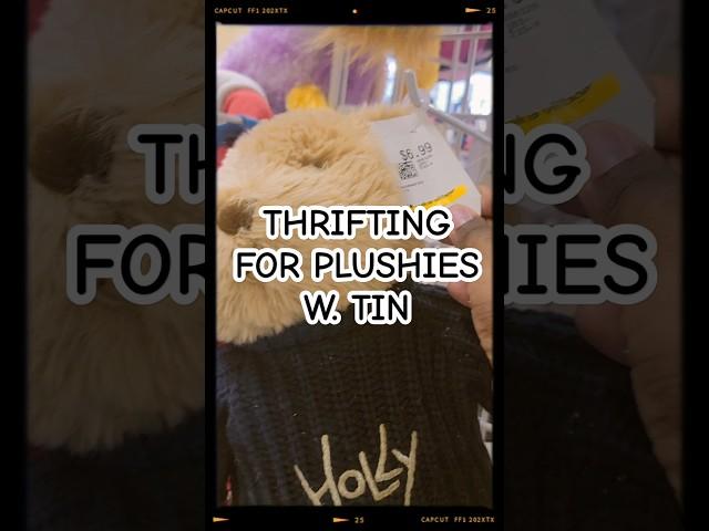 They Are So Amazing - Thrifting For Plushies with Tin #2 #thrifting #teddies