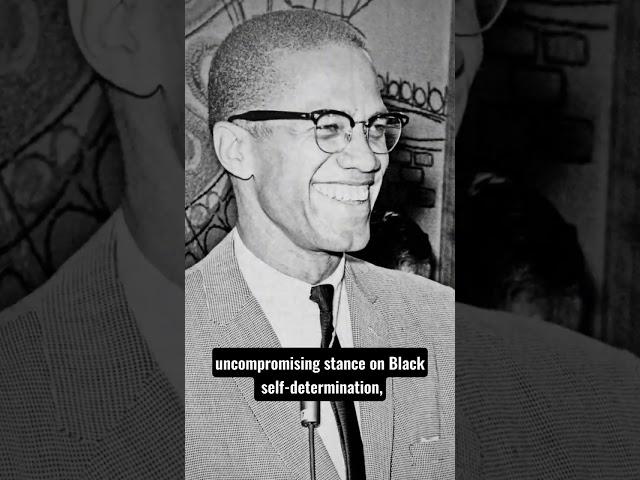 The Meeting Between Malcolm X And Martin Luther King Jr.