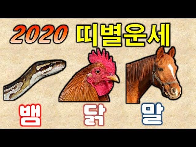 [경자년 운세] 2020년 조심해야할 띠 / 뱀띠 닭띠 말띠 신년 운세