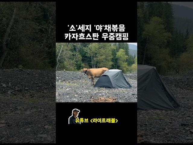 카자흐스탄 숲 속에서 캠핑하면