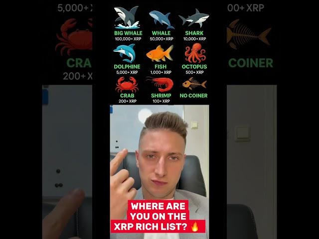 XRP Rich List… are you a Whale?   #xrpnews #crypto #XRP #xrppriceprediction