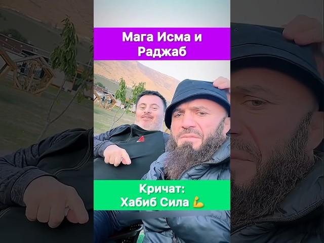 Магомед Исмаилов и Раджаб Легенда кричат: Хабиб сила!