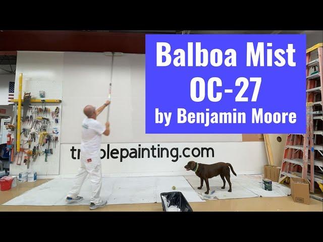 Balboa Mist OC-27 by Benjamin Moore