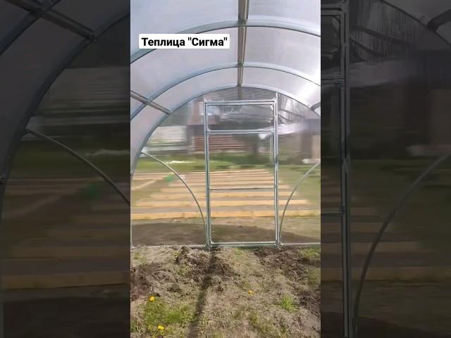 Теплица "Сигма" @Teplici   #теплица #теплицы #теплицанадаче #дача
