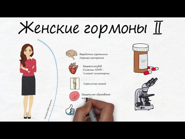 Женские гормоны (часть 2. Эстрогены, менопауза, анализы) - RedCells.ru