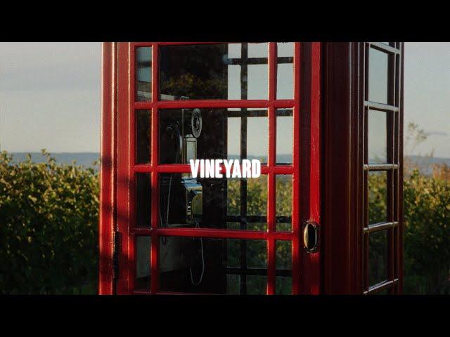 Sony FX30 Cinematic Video | Vineyard