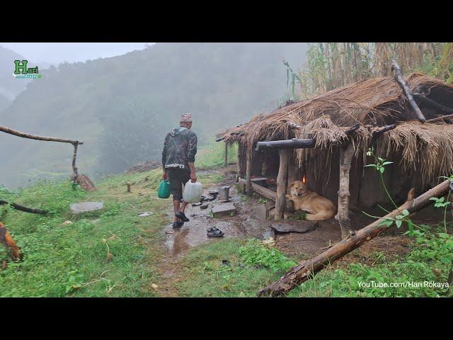 Most Relaxing Nepali Mountain Village Life | Daily Activities of Hari Rokaya Village People | Rainy