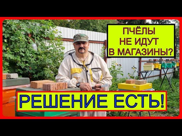  Пчёлы не идут в магазины? - Подскажу простое решение! Видео по пчеловодству для начинающих 2022 