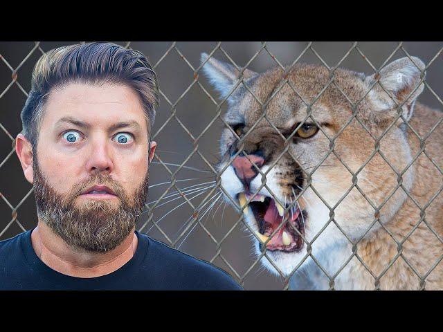 America's Deadliest Predators Up Close (Private Tour)