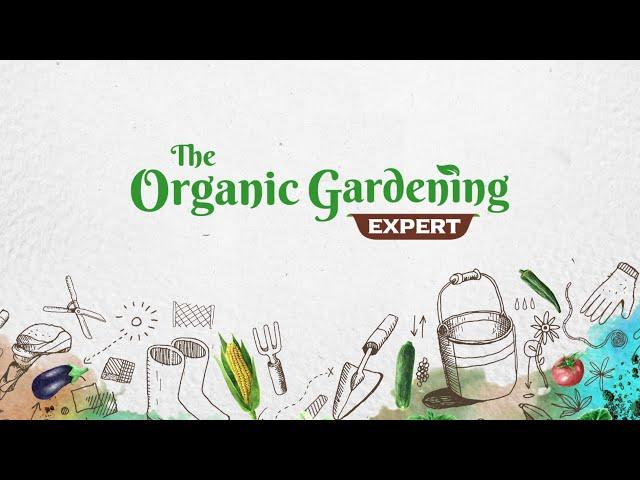 'The Organic Gardening Expert' - Video + Mentorship for Middle East Gardeners