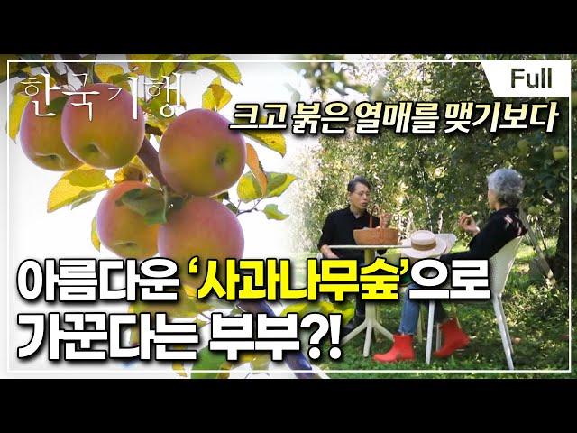 [Full] 한국기행 - 가을 맛나다 1부 사과나무 사랑 걸렸네