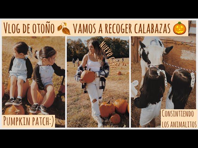 Vlog de otoñovamos a recoger calabazas+ las niñas consienten los animalitos+ cambio de look‍️