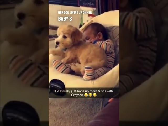 This dog and baby are best friends ️