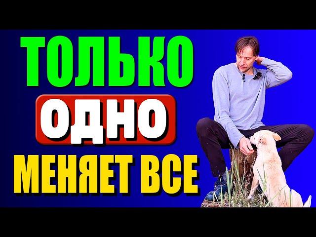 Метод СОСТОЯНИЕ меняет мгновенно ВСЕ К ЛУЧШЕМУ - Художник в ДЕРЕВНЕ