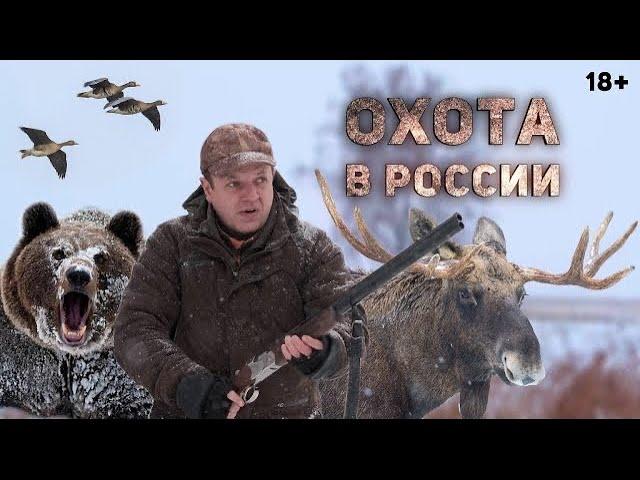 ОХОТЫ на МЕДВЕДЯ, КАБАНА, ЛОСЯ, КОЗЕРОГА! Сборник ЛУЧШИХ ФИЛЬМОВ!