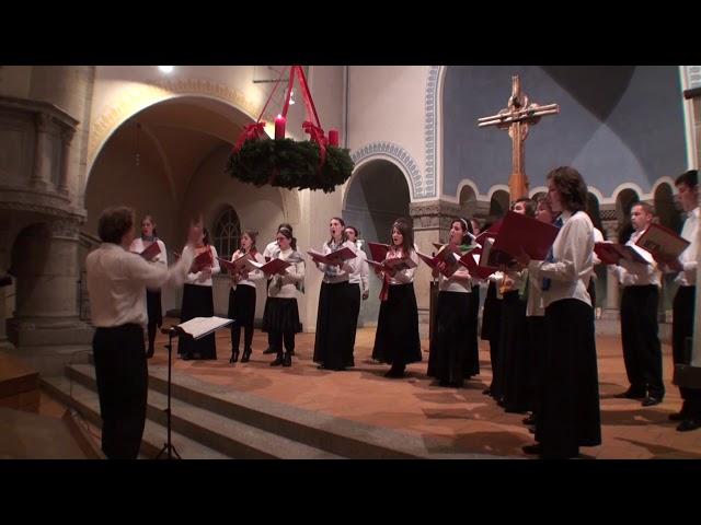 Der Jugendbachchor in der Münchner Johanniskirche 2009