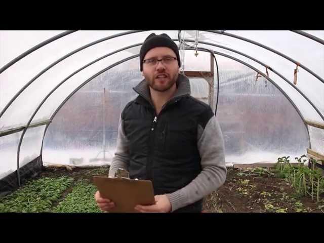 Ask The Urban Farmer: How to Kickstart Your Own Backyard Farm Adventure!