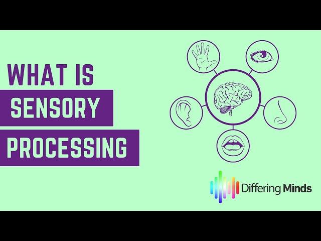 What is Sensory Processing?