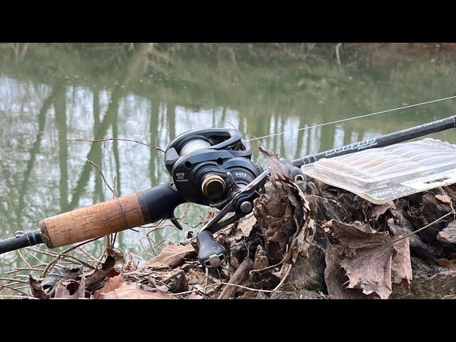 Fishing a GORGEOUS Urban Creek