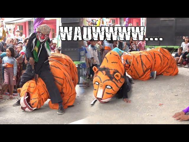 WAUWW... CICILIMIT MACAN TARUNGAN ~ BUROK DANGDUT CINTA NADA BUDAYA SHOW KARANGBALE 13/07/2023