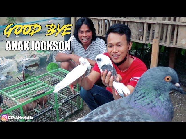 GOOD BYE MERPATIKU ANAK JACKSON