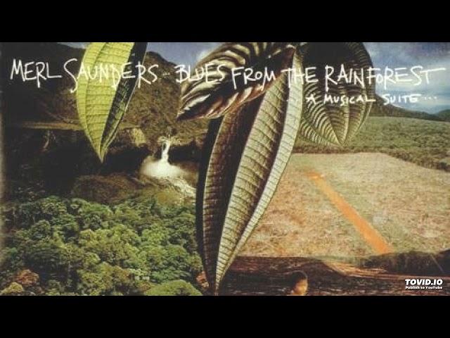 Merl Saunders - Dance Of The Fireflies