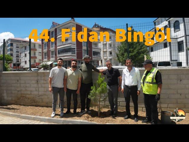 44. Fidan Bingöl #81il81fidan #423