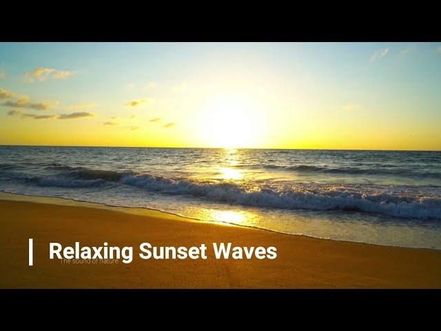 Relaxing Sunset Waves