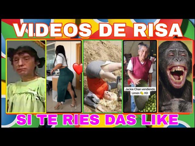 VIDEOS VIRALES DE RISA RECOPILACIÓN DE VIDEOS CHISTOSOS