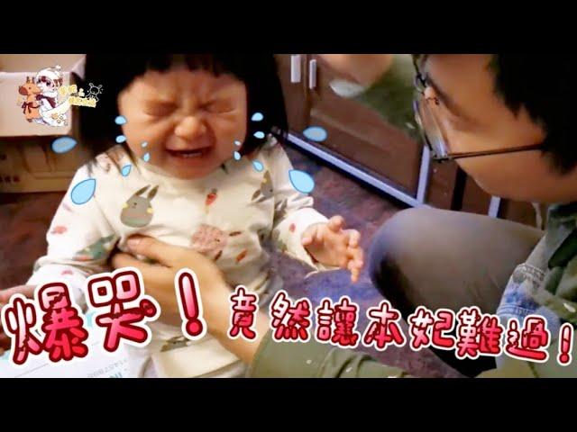 【芋妃的後宮生活】芋妃竟然因為這件事爆哭！