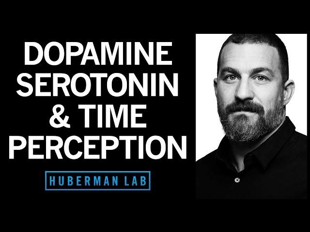 Time Perception & Entrainment by Dopamine, Serotonin & Hormones