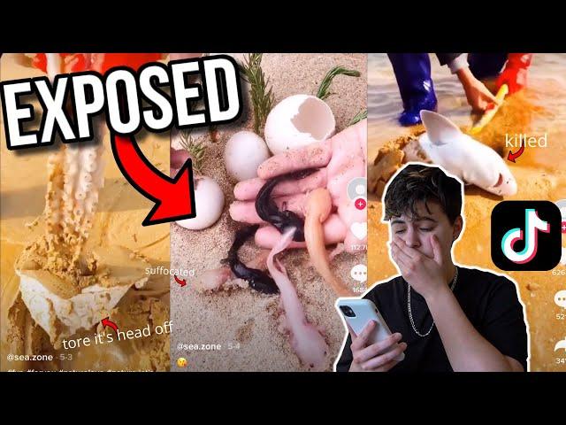 Tiktoker ABUSES Local SALTWATER CREATURES For MONEY!! (EXPOSED)